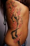 cherry blossom feminine tattoo
